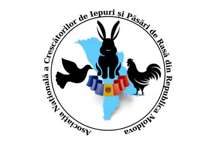 В Молдове создана Ассоциация кролиководов и заводчиков породных птиц