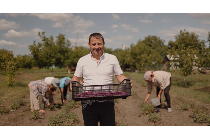 FOTO Afacerea sănătoasă a unui antreprenor din raionul Soroca: „Creştem plante medicinale BIO, dar ne dorim să creăm şi un popas turistic în flori”